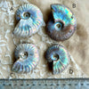 Opalized Ammonite Necklace - Big stone -